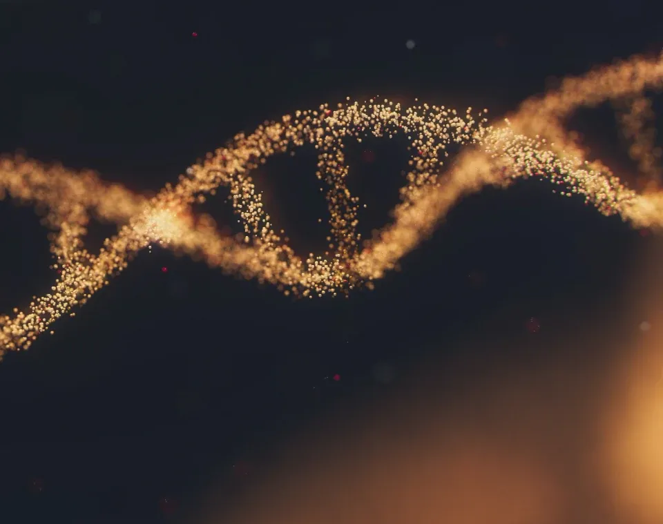 DNA strand — symbol of regenerative medicine