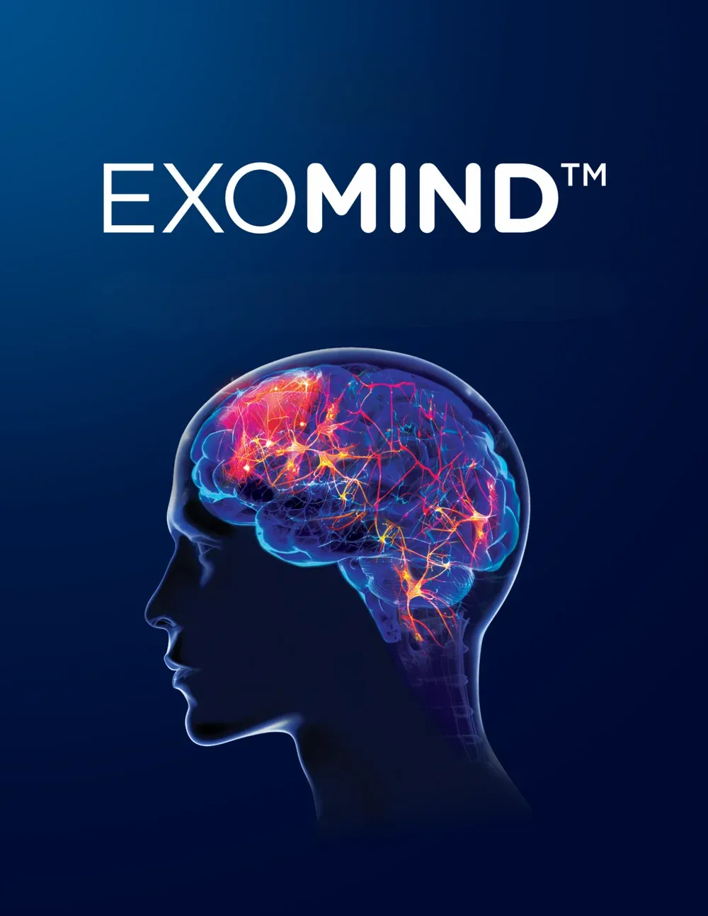 Illustration of a human head with the brain highlighted by neural activity